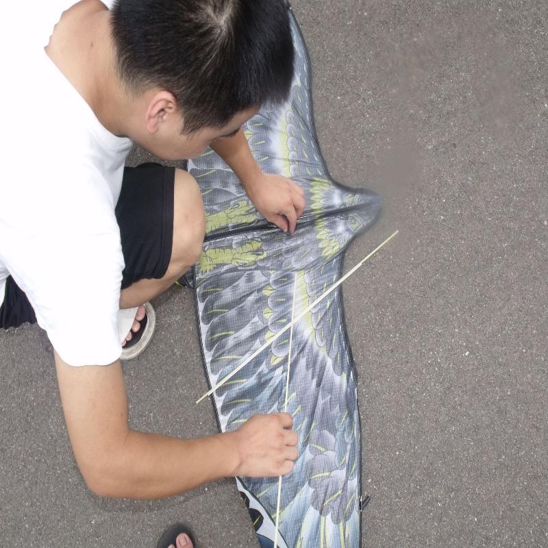 1 Piece Outdoor Fun Sports Bird Repelling Kite 1.2/1.55/1.6/1.65/1.8 Meters Easy To Fly Eagle Kite For Kids Or Adults