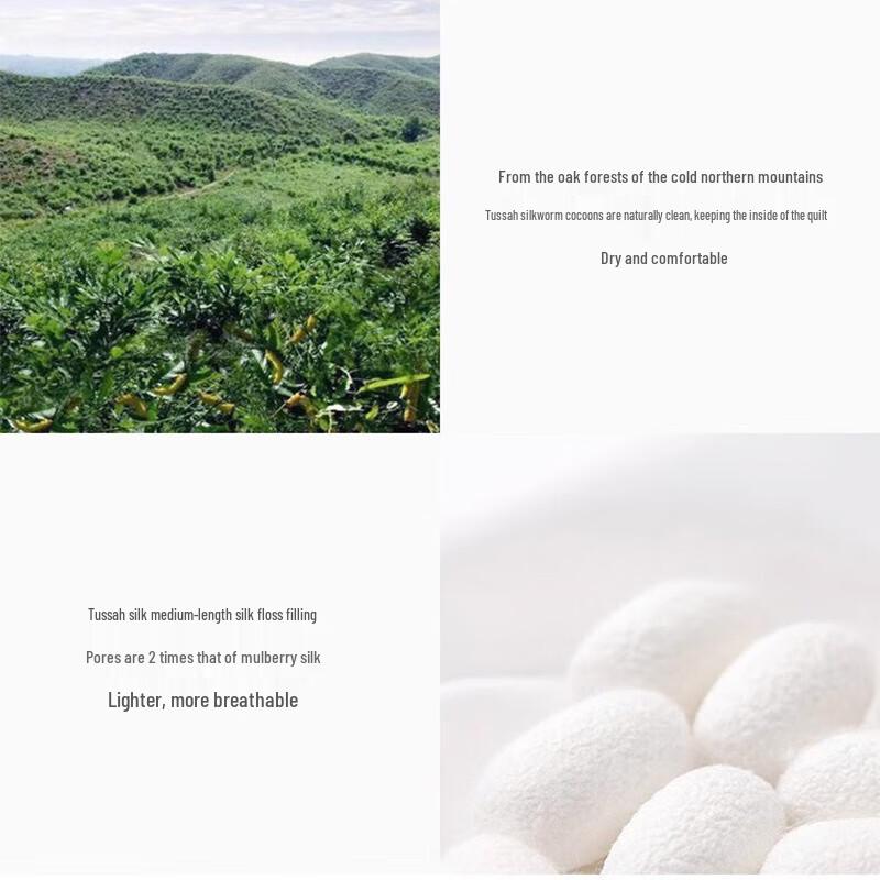 Shuibai Huating Tussah Silk Summer Quilt