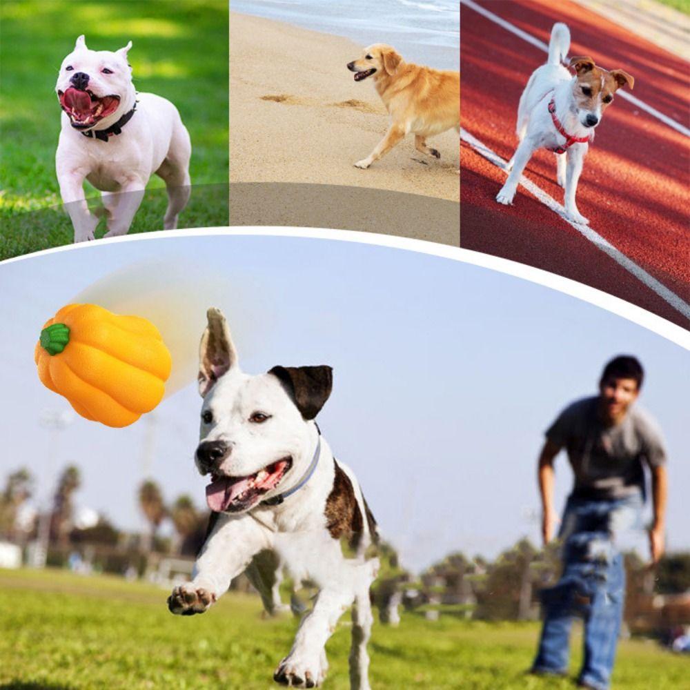TPR Dog Pumpkins Ball Toy Bite Resistant Dog Chew Toys Funny Halloween Pumpkin Dog Toy  Halloween