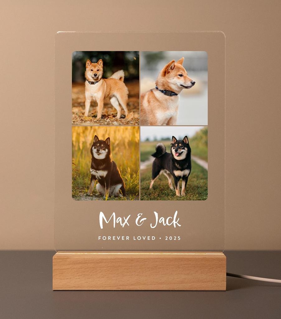 Custom Dog Photo Plaque Pet Memorial Gift with LED Light Pet Loss Sympathy Keepsake Personalized Remembrance Gift