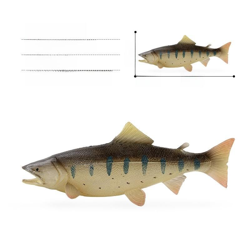 

Marine Scleropages Formosus Pvc Model Kit With Base Set For Aquarium Decor And Collectors MahiMahi