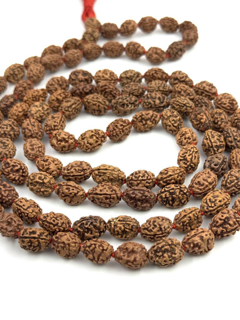 Natural 3 Mukhi Rudraksha Mala 108+1 Beads – Certified Authentic Nepali Prayer Beads for Meditation, Healing, and Spiritual