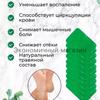 Plaster detox patch for legs 100 pieces (50 pairs) , chinese detox plaster from