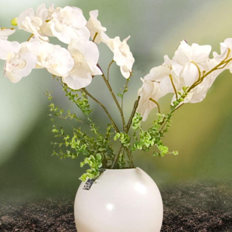 550ml Concime Specifico per Orchidee Agente Microbico per la Crescita e la Fioritura delle Phalaenopsis Cura delle Piante
