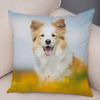 Printed Pet Animal Cushion Cover Scotland Border Collie Soft Plush Pillowcase Decor Cute Dog Pillow Case for Sofa Car