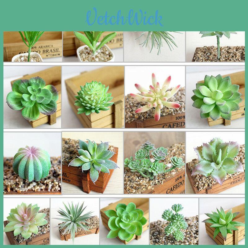 Vibrantly Colored Artificial Succulent Diy Faux Plant For Lifelike Garden Decor