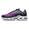 Air Max Plus 'Aurora Hyper Violet' Gs CD0609-300