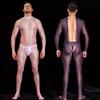 Sexy Men Body Sculpting Tights Oil Shiny Glossy Leotard Elastic Open Zipper Jumpsuit Exotic See Through Catsuit Body Stockings