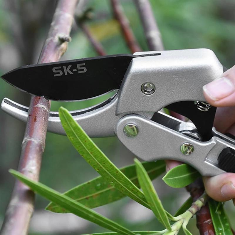 Gardening Shears Anti-Rust Coating Bird's Beak Shaped Branch Cutter Multi-functional Fruit Scissors for Home Garden Orchard Use
