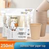 Kangmeiya Bambusfaser-Papierbecher