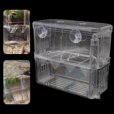 Vissen en zeedieren – Aquaria