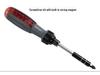 Ratschen-Teleskop-Schraubendreher-Set mit unregelmäßig geformter Ahle und Torx-Bits