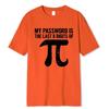 Pánské tričko 100% bavlna Potisk matematických rovnic Vtipné pánské tričko Módní oversized tričko Moje heslo jsou poslední číslice Pí