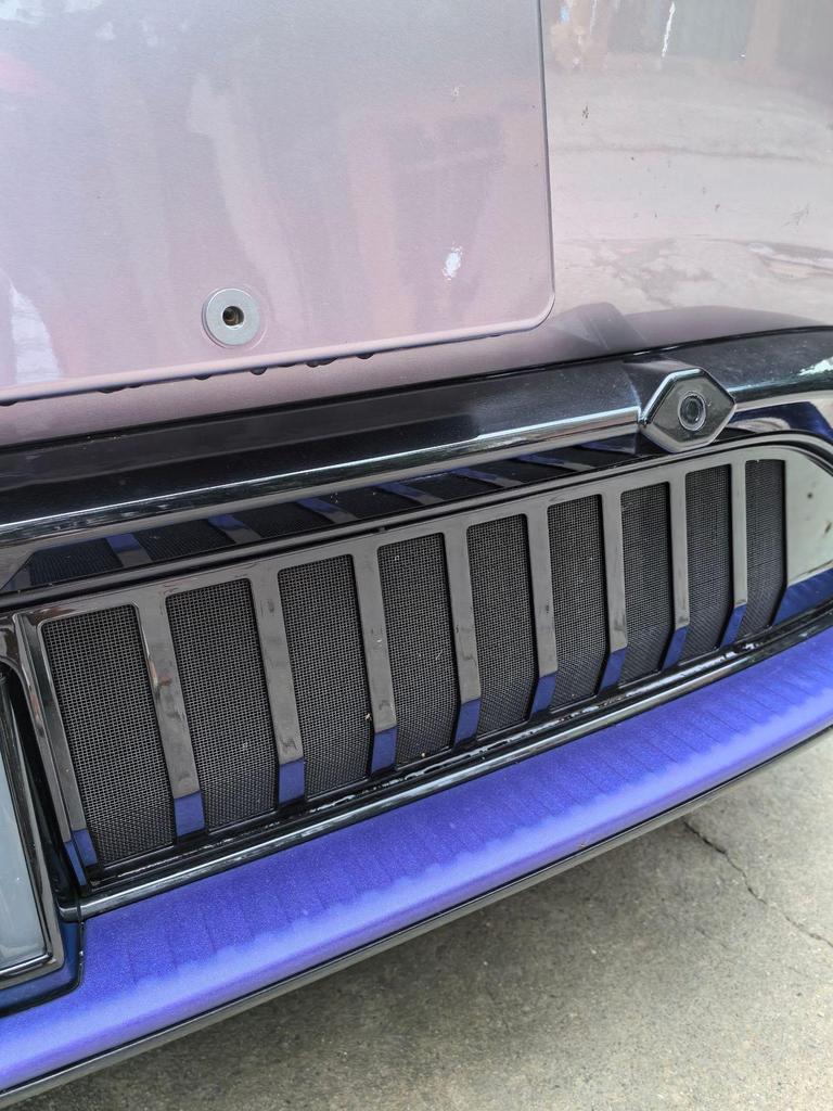 HiPhi Y Insect-Proof Mesh Grille Dust Cover