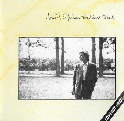 CD DAVID SYLVIAN - Brilliant Trees CDV2290 Virgin UK Dance & Electronica Used