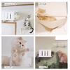 White Cat Step Cat Road Plus and functional design and safe design that meets strict quality (Single) [Animacolle] ~Beautiful standards~