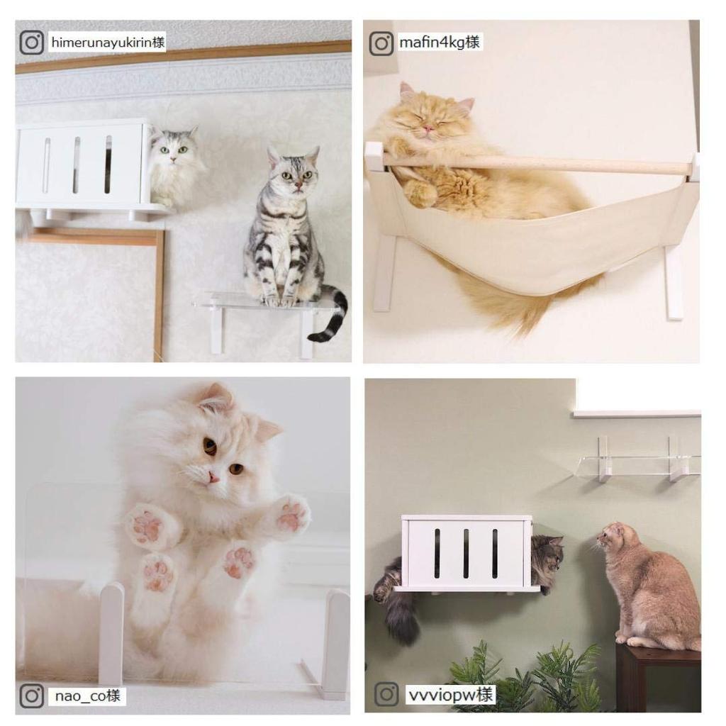 White Cat Step Cat Road Plus and functional design and safe design that meets strict quality (Single) [Animacolle] ~Beautiful standards~