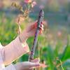 Removable 8 Hole Long Flute Ergonomics Vertical Flute Beginner Flute  Kids Gifts