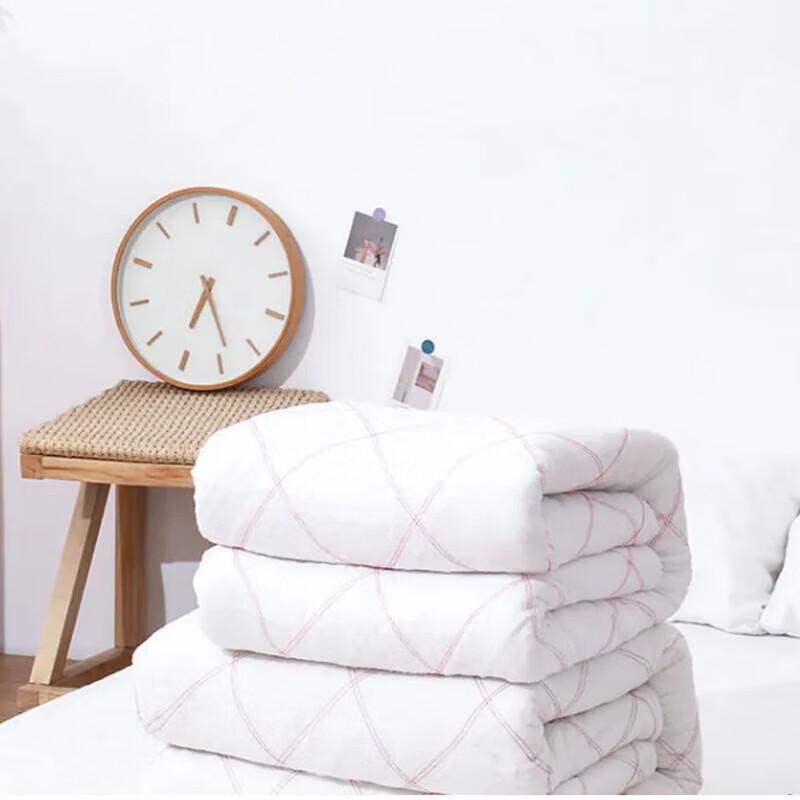 Winter Thickened Cotton Quilt