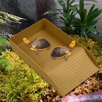 Plateforme Rampa Antidérapante Tortue Bol Nourriture Reptile Bols Eau Nourriture Piscine Habitat Baignoire Réutilisable Décoration Bac Aquarium