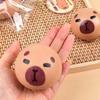 Cute Small Slow Rebound Balls Animal Fidget Sensory Toys Capybara Squeeze Toys  Children Gifts