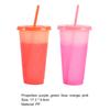 720ML Water Bottle Temperature Sensor Food Grade PP DIY Craft Color Changing Straw Water Tumbler
