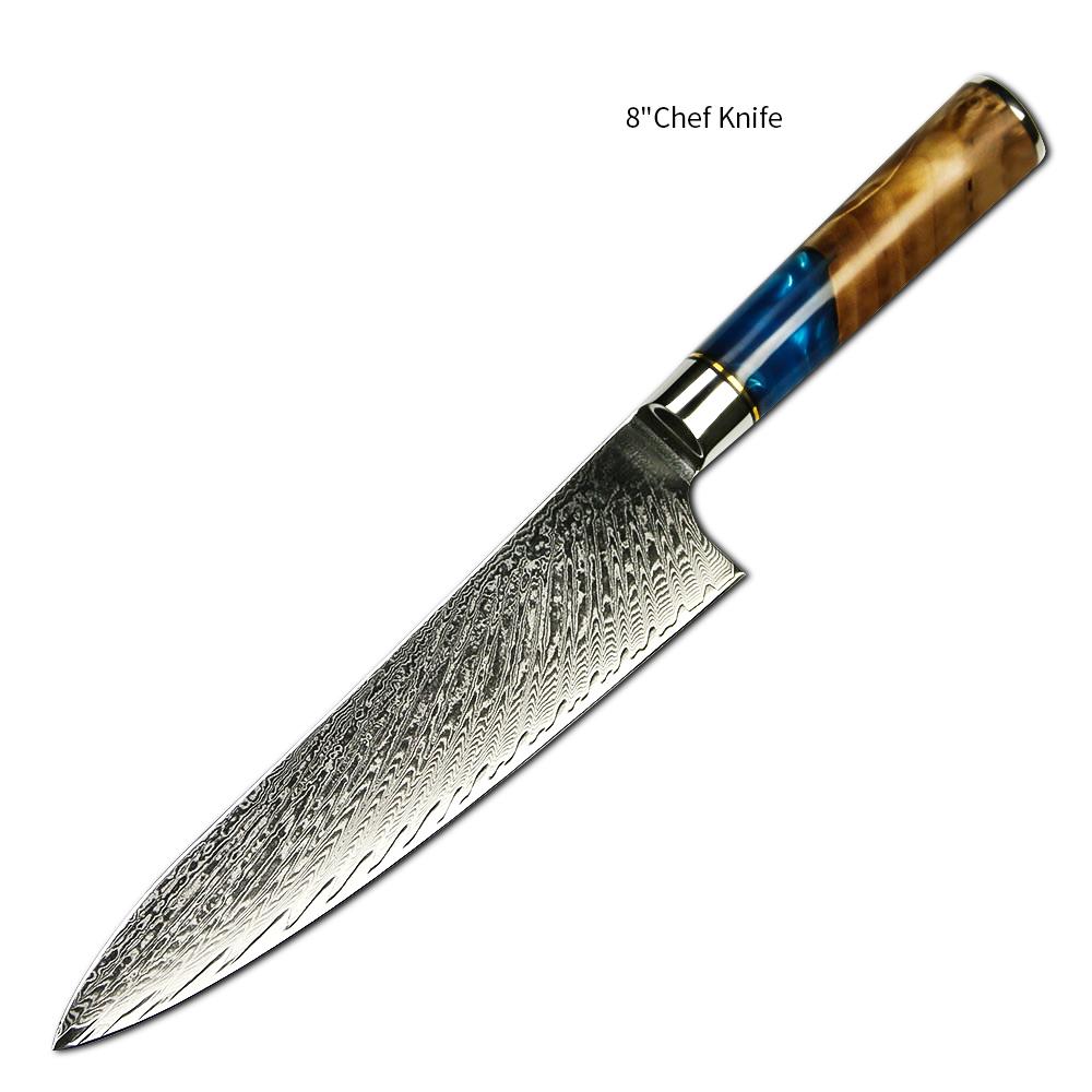 Amber Hot Selling 67-Layer Damascus Steel Kitchen Chef Knife Set Super Sharp Blade 10Cr15CoMoV Core with Resin & Wood Handle