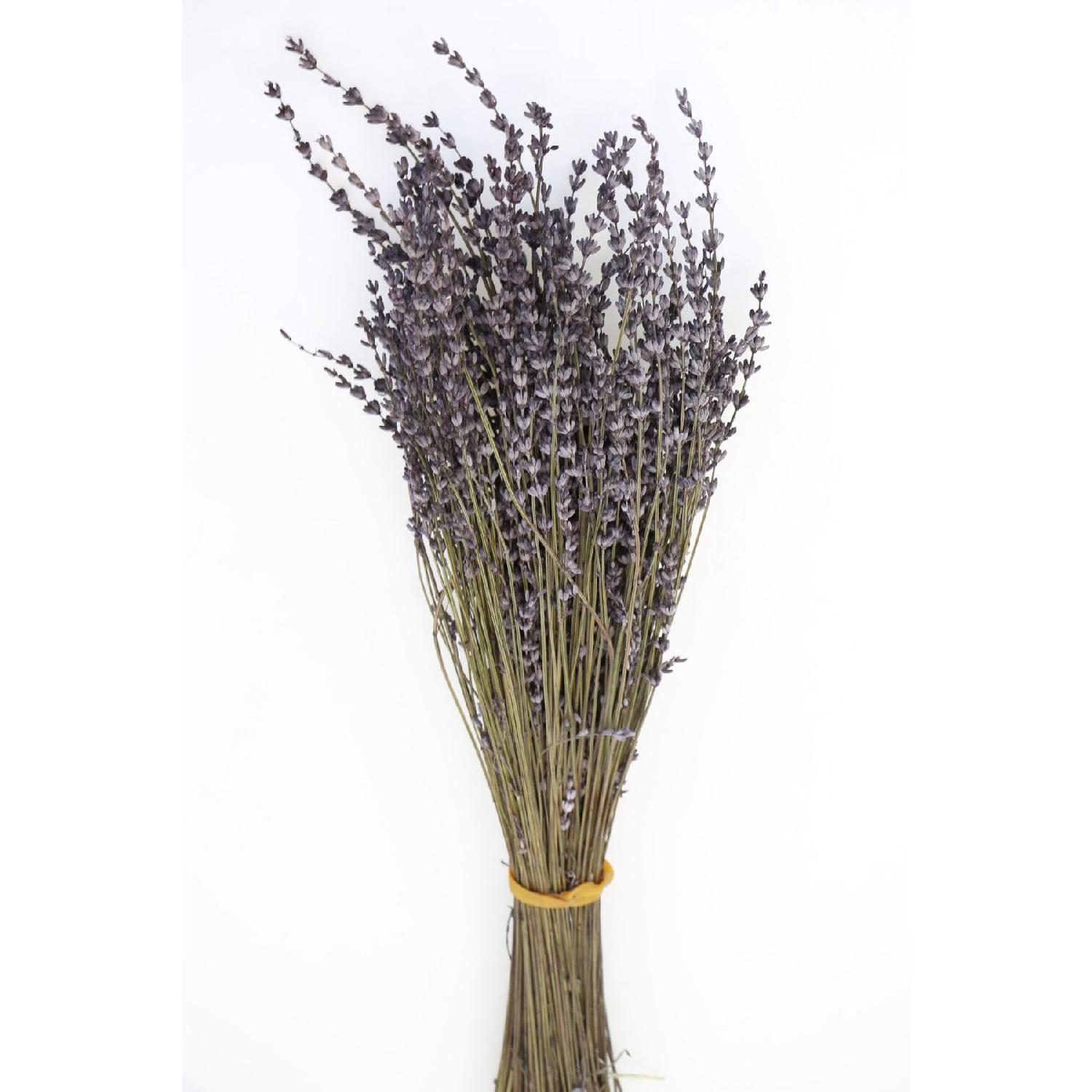 

Shock-proof Spill-resistant Real Lavender Bunch Anthracite Purple 100 Gr белый