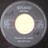 7inch Record MAYTALS  ROY  PAULETTE  Please Mr. Jones  Since You Leave  ST332 Studio Records Netherland Reggae Ska  Dub Used