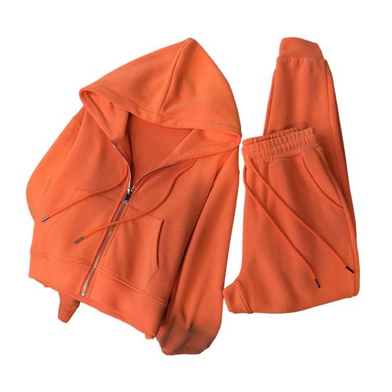 Women's Two Piece Tracksuit Long Sleeve Zip Up Hoodie And Sweatpants Set Casual Fall Active Jogging Outfits