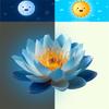 Blue Luminous Water Lily Toilet Stickers, Waterproof Bathroom Decoration Stickers, Creative Fluorescent Stickers