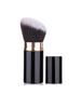 Compact Retractable Makeup Brush - Blush, Powder, Mushroom Head Tool