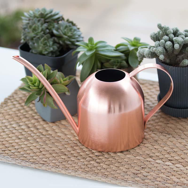 Rose Gold Stainless Steel Watering Can with Spout, Retro Style, 1000ML for Succulents and Green Plants