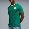 Puma Senegal 2026 Away Jersey 'Wild Green PUMA Red' Men's 783171-02