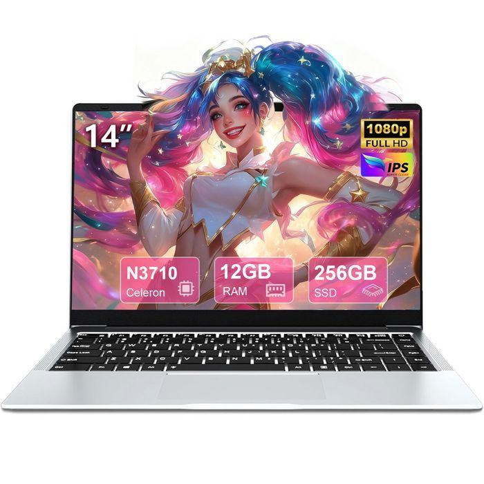 14,1" PC tragbar, Intel Celeron N3710(Bis zu 2,6 GHz),12 GB RAM DDR4 256 GB SSD, Windows 11 PRO, WiFi 5, Laptop