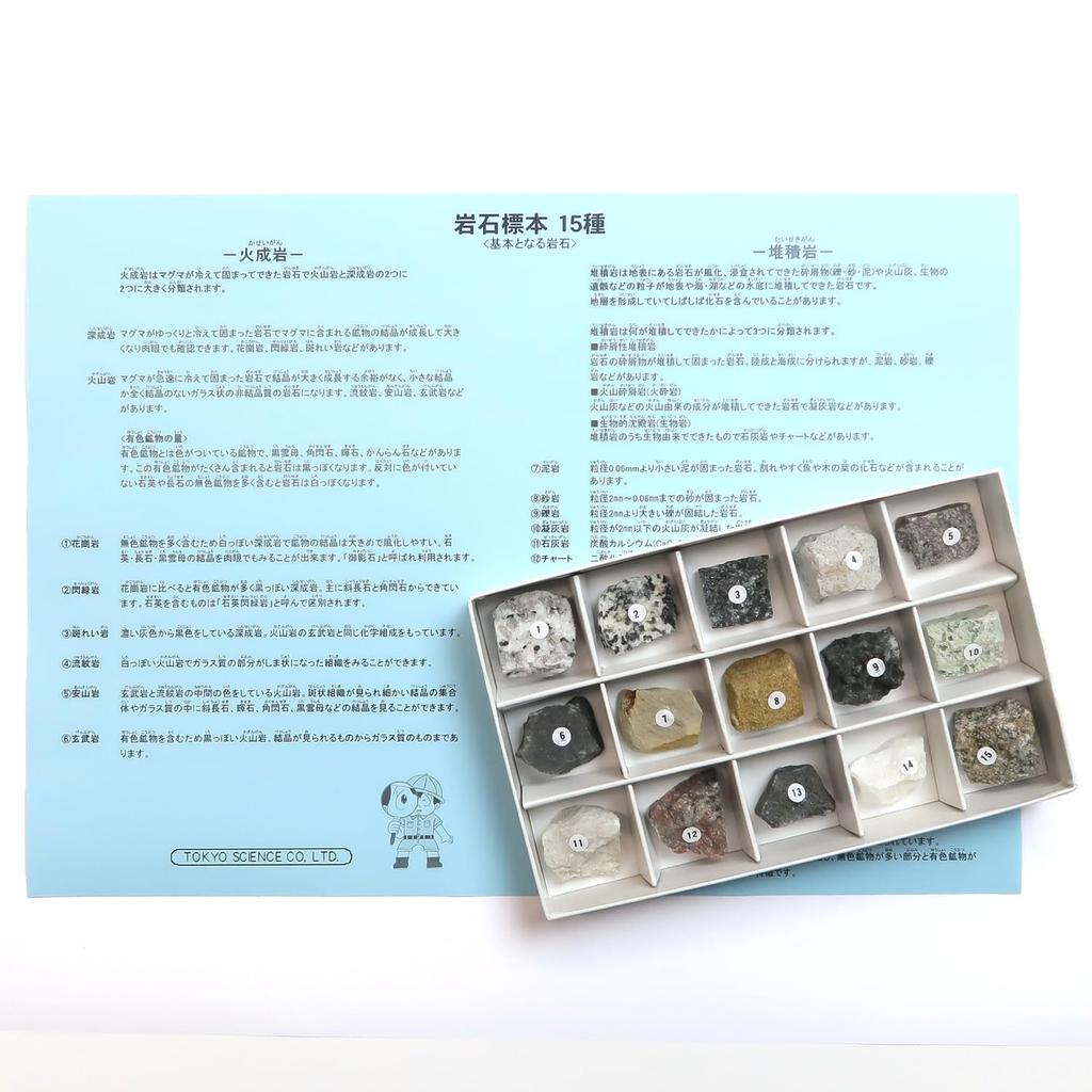 SCIENCE Rocks Rock Specimens Set of 15 with Paper 160 X 97 X H30mm ROCK SPECIMENS KIT 15 "Basic (Igneous, Sedimentary, Metamorphic) Explanations" Box
