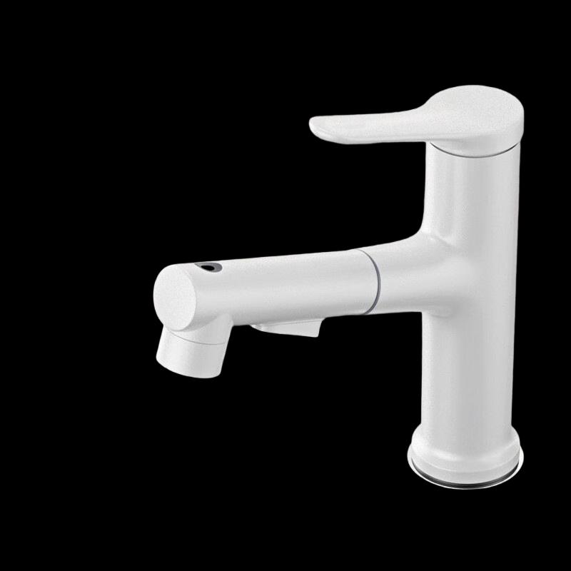 MDNG Bathroom Pull-Out Faucet