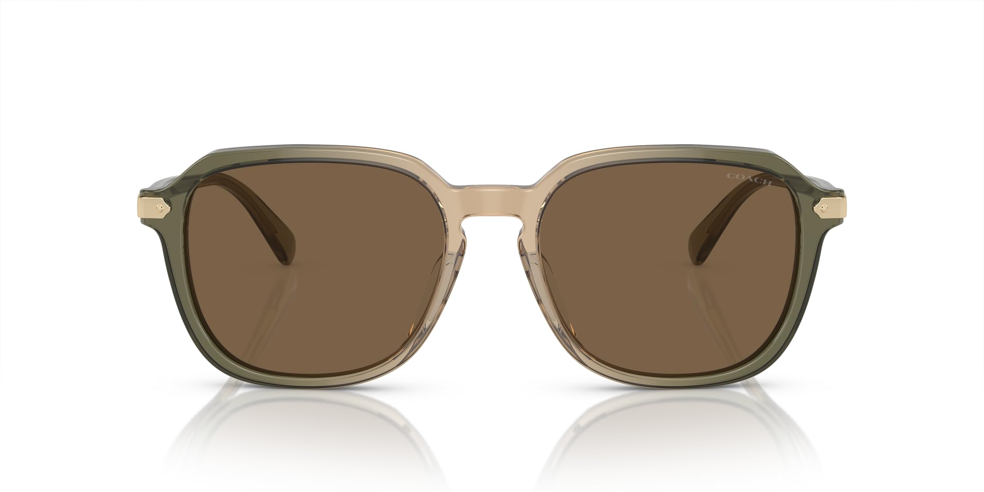 

Sunglasses HC8383U CL912 TRANSPARENT GREEN TAN GRADIENT 55 [Coach]