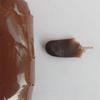 Figurative Crystal Resin Cold Porcelain Clay: Semi-transparent, No-bake, 0.5g Polymer Succulent Clay Material.