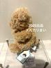[USED] Jellycat Plush Toy Yummy Bear Teddy Bear