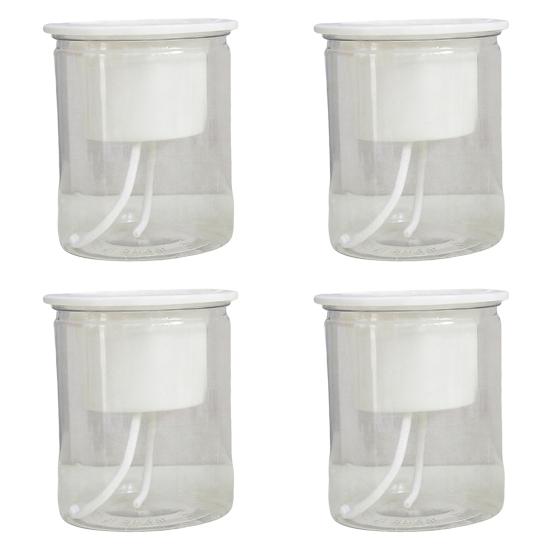 Self Watering Plant Pot Flower Pot with Transparent Reservoir Clear Self Watering Planter for Indoor Plants Flowers African Violets