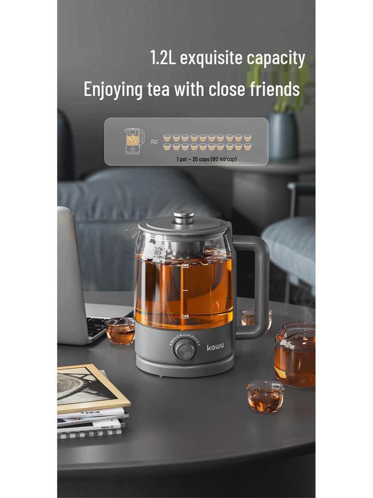 Kawu Health Pot: Multifunctional Herbal Tea & Medicine Decoction Kettle