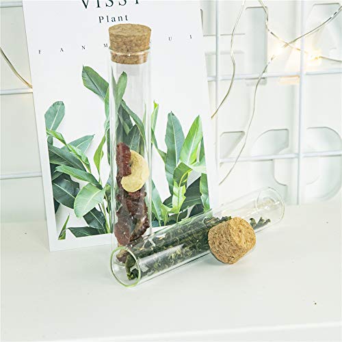 24 test tube glass bottles with cork stoppers, clear glass bottles - capacity (22 x 120 mm (30 ml))