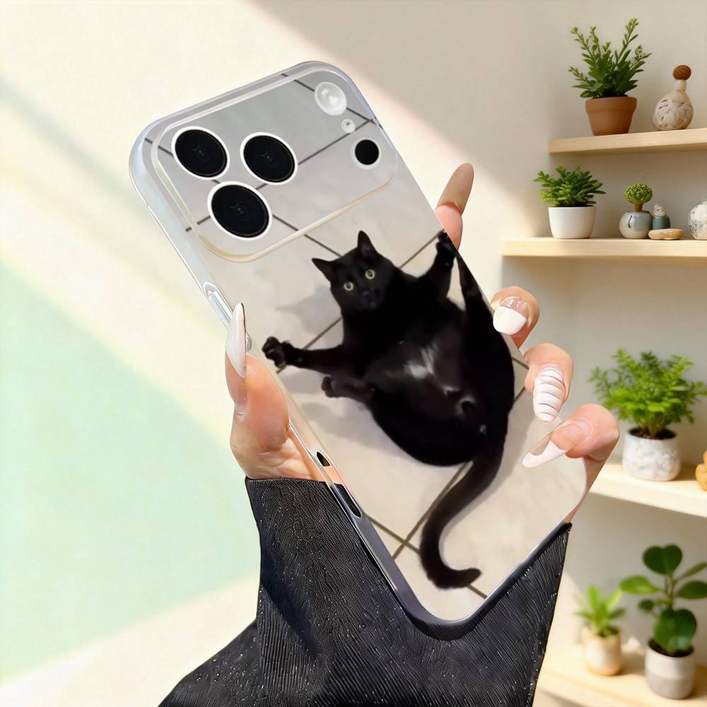 

Funny Cat Memes Cute For iPhone 17,16,15,14,13,12,11,Pro,Max,Plus,Mini,SE4,E Magnetic For Magsafe Wireless Phone Case iPhone16pro