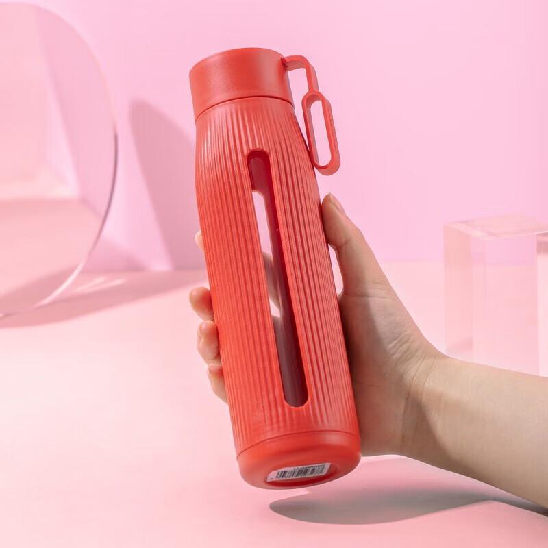 LocknLock Portable Glass Water Bottle with Tea Infuser