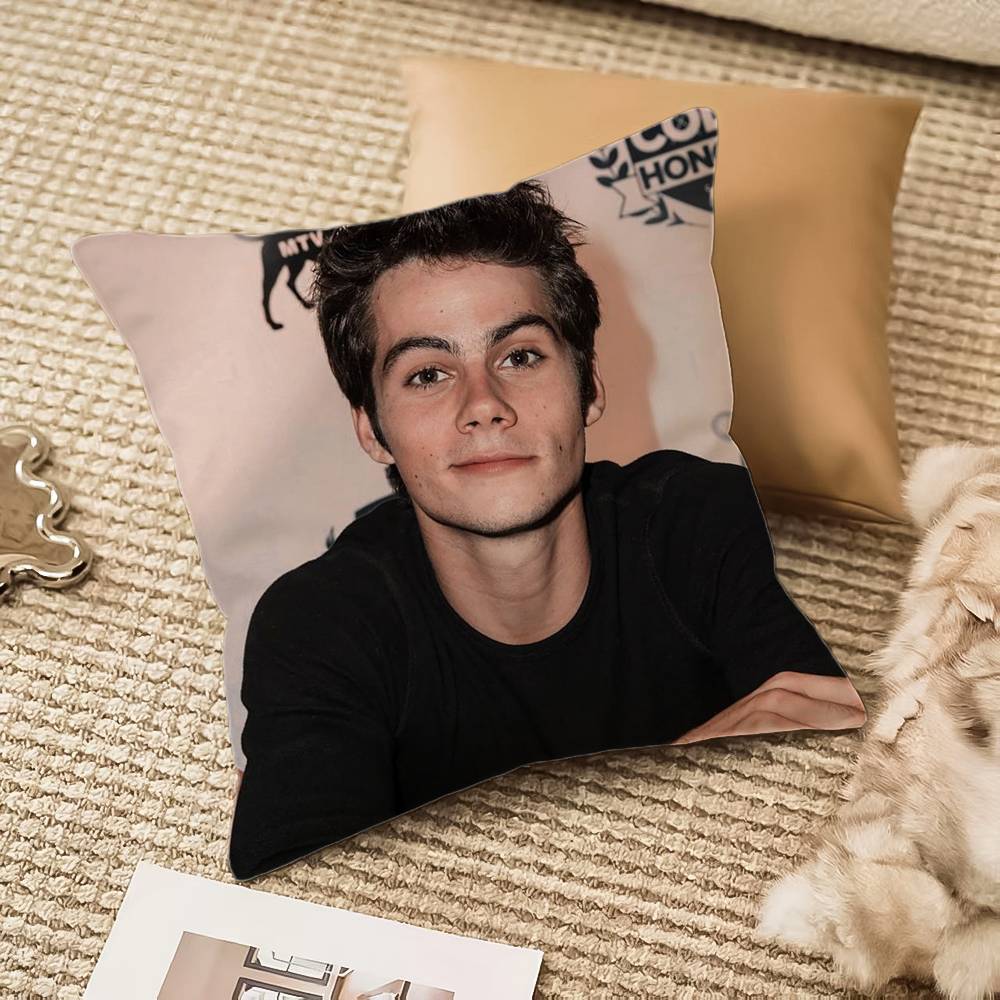 D-Dylan O Brien Pillow Case Anti-dustmite Invisible zipper Sofa Bed