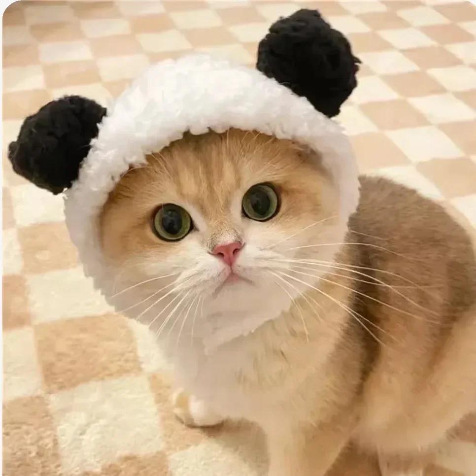 Funny Cat Cap Bear Plush Head Cover Cute Cat Dog Woven Warm Headdress Pet Hat Kitten Puppy Cosplay Costume Accessories