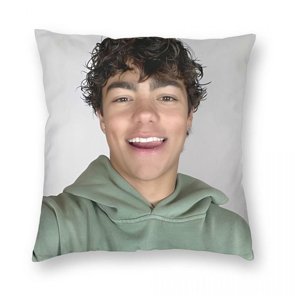 Malachi Barton Pillowcase Printing Fabric Cushion Cover Decorations Throw Pillow Case Cover Home Drop Shipping 45*45cm