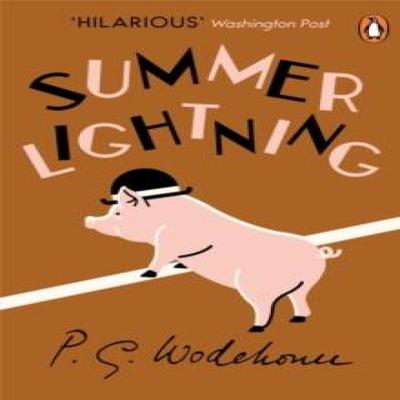 Summer Lightning by P.G. Wodehouse Paperback Book 9780099513827