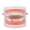 Cross-Border Trend: Gold Plated Hollow Six-Tooth Flat Fake Teeth for Halloween Costume & Hip Hop Grillz